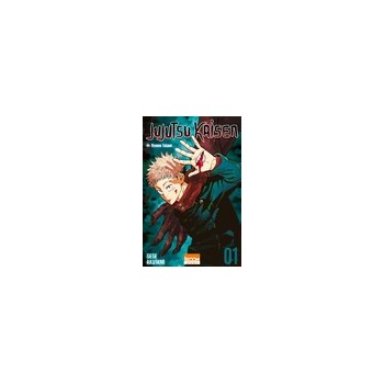 Jujutsu Kaisen, T01 | Le Geekarium