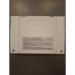 Dragon's Lair Loose | SNES