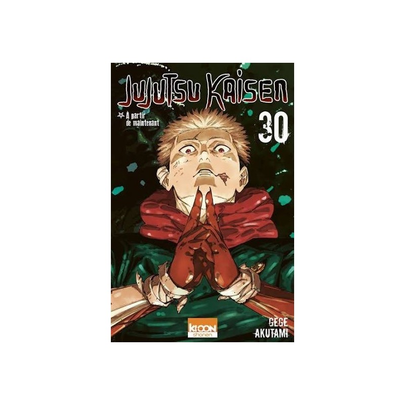 Jujutsu Kaisen, T30 | Le Geekarium